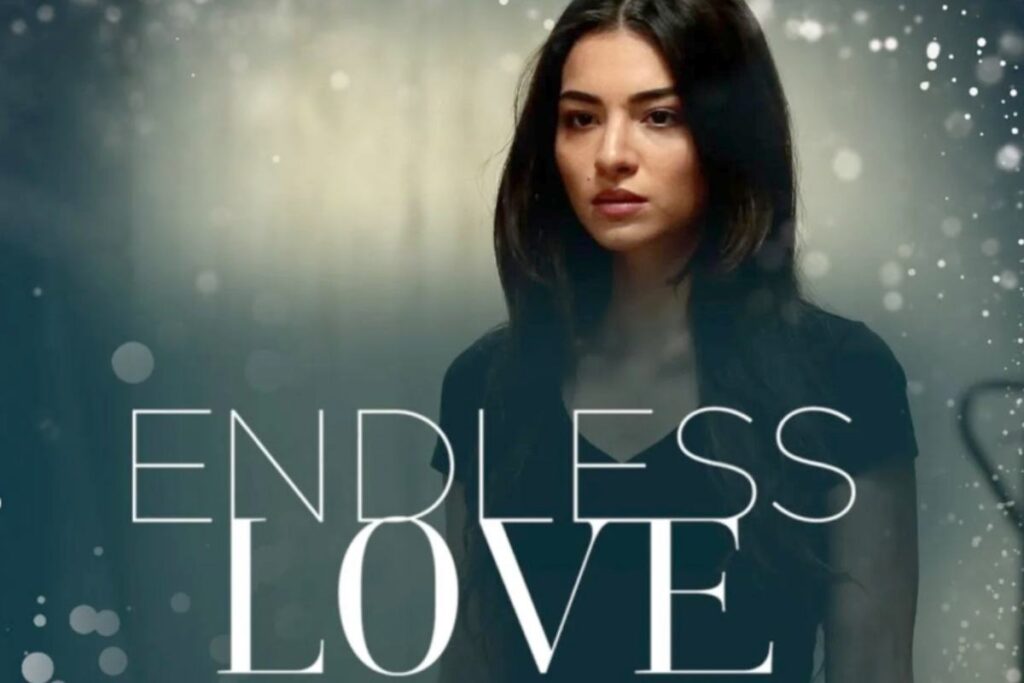 Endless Love puntata finale