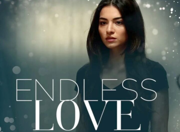 Endless Love puntata finale